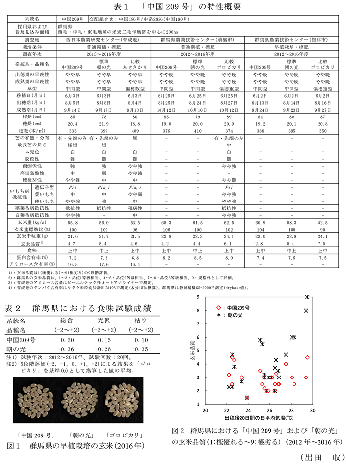 表1「中国209号」の特性概要;表2群馬県における食味試験成績;図1群馬県の早植栽培の玄米(2016年);図2群馬県における「中国209号」および「朝の光」 の玄米品質(1:極優れる～9:極劣る) (2012年～2016年)