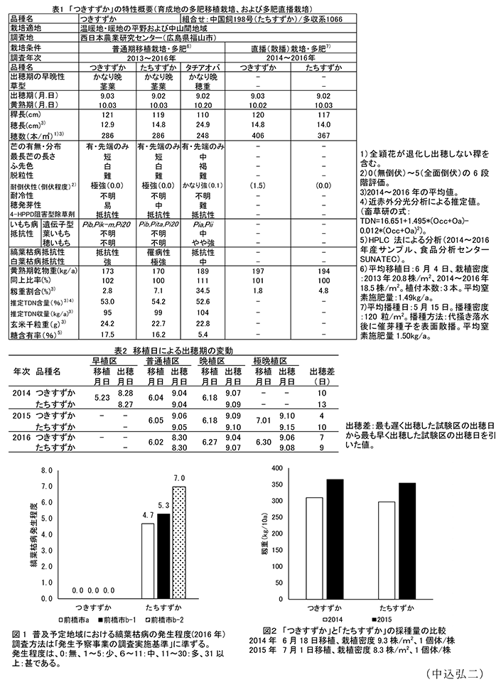 表1「つきすずか」の特性概要(育成地の多肥移植栽培、および多肥直播栽培);表2移植日による出穂期の変動;図1普及予定地域における縞葉枯長の発症程度(2016年);図2「つきすずか」と「たちすずか」の採種量の比較