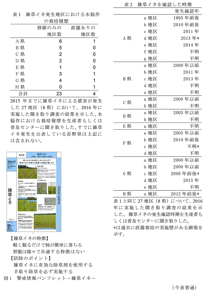 表1 雑草イネ発生地区における水稲作の栽培履歴。2015年までに雑草イネによる被害が発生した27地区(8県)において、2016年に実施した聞き取り調査の結果を示した。水稲作における栽培履歴を生産者もしくは普及センターに聞き取りした。すでに雑草イネ発生を公表している長野県は上記には含まれない。; 表2 雑草イネを確認した時期。表1と同じ27地区(8県)について、2016年に実施した聞き取り調査の結果を示した。雑草イネの発生確認時期を生産者もしくは普及センターに聞き取りした。*は過去に直播栽培の実施歴がある圃場を示す。; 図1 警戒情報パンフレット-雑草イネ-。【雑草イネの特徴】軽く握るだけで籾が簡単に落ちる形態は様々で共通する特徴はない【防除のポイント】雑草イネに有効な除草剤を使用する手取り除草を必ず実施する