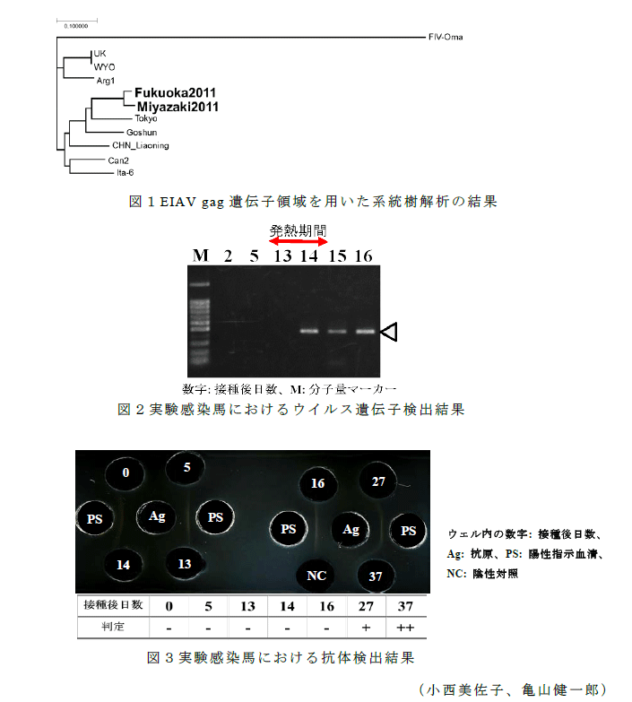 図1～3