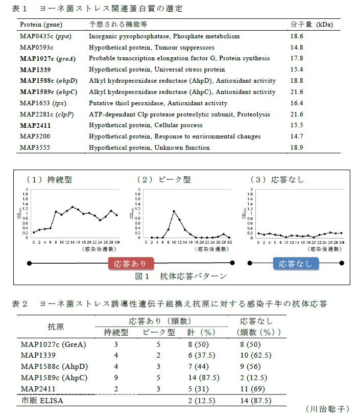 表1～2,図1