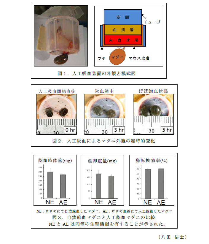 図1～3