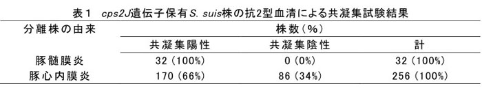 表1 cps2J遺伝子保有S. suis株の抗2型血清による共凝集試験結果