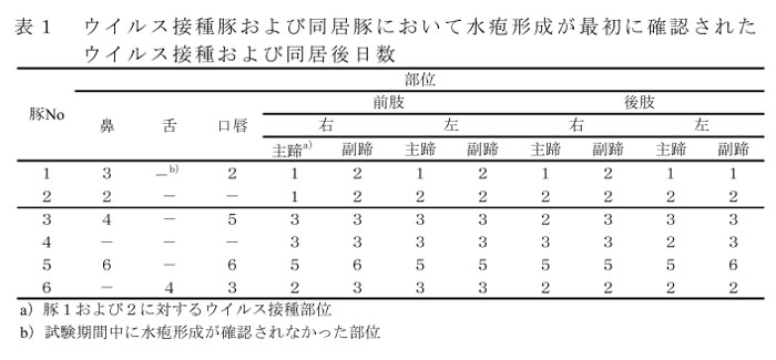 表1 ウイルス接種豚および同居豚において水疱形成が最初に確認されたウイルス接種および同居後日数