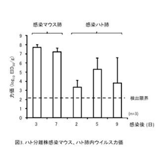 図3 ハト分離株感染マウス、ハト肺内ウイルス力価