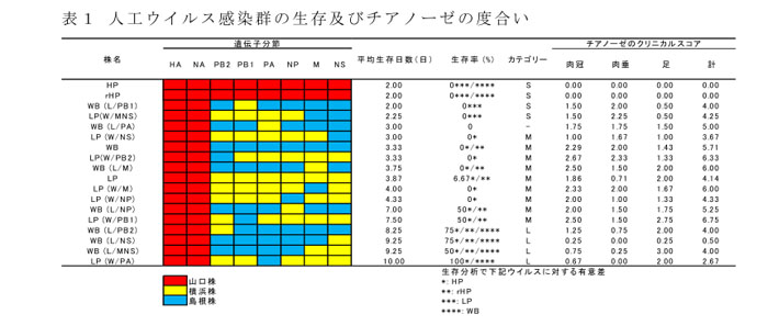 表1 人工ウイルス感染群の生存及びチアノーゼの度合い