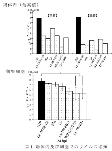 図1 鶏体内及び細胞でのウイルス増殖