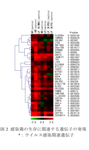図2 感染鶏の生存に関連する遺伝子の発現