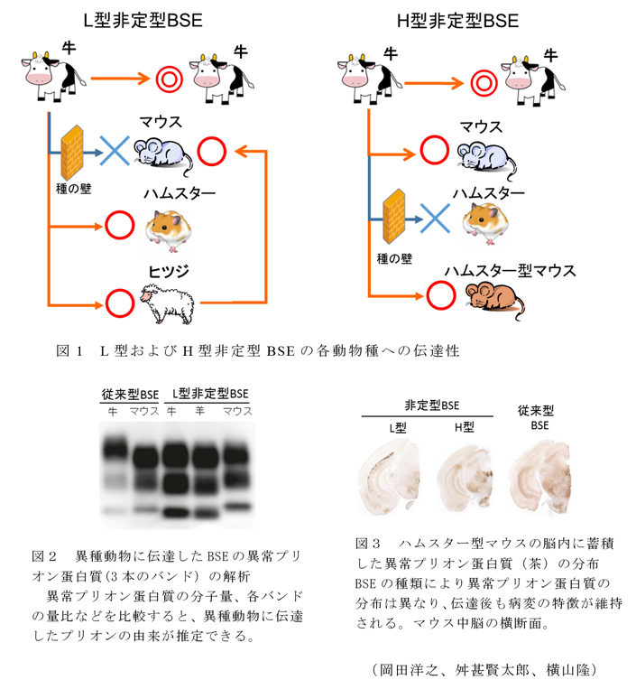 図1