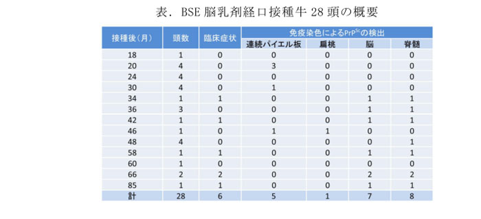 表.BSE脳乳剤経口接種牛28頭の概要