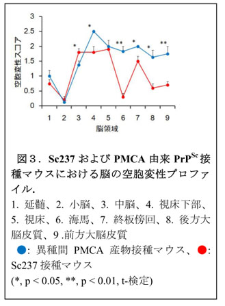 図3.Sc237およびPMCA由来PrPSc接種マウスにおける脳の空胞変性プロファイル.