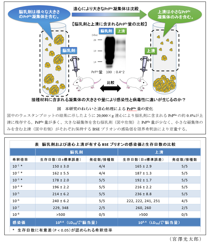 図1