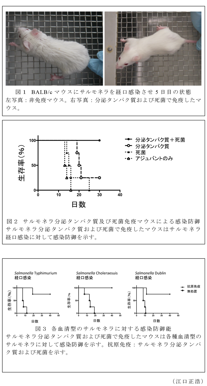 図1