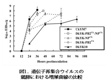 図1 遺伝子再集合ウイルスの鶏肺における増殖曲線の比較