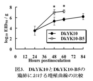図3 DkYK10とDkYK-10-B5の鶏肺における増殖曲線の比較