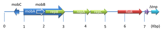 図1