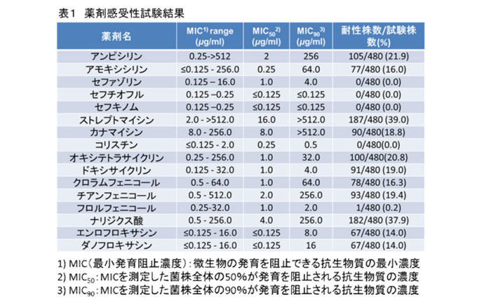 表1 薬剤感受性試験結果