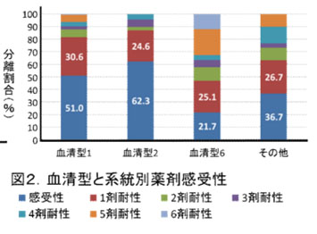 図2 血清型と系統別薬剤感受性