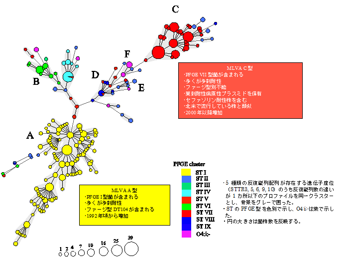 図、表