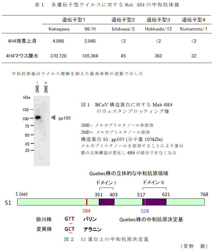 表1、図1