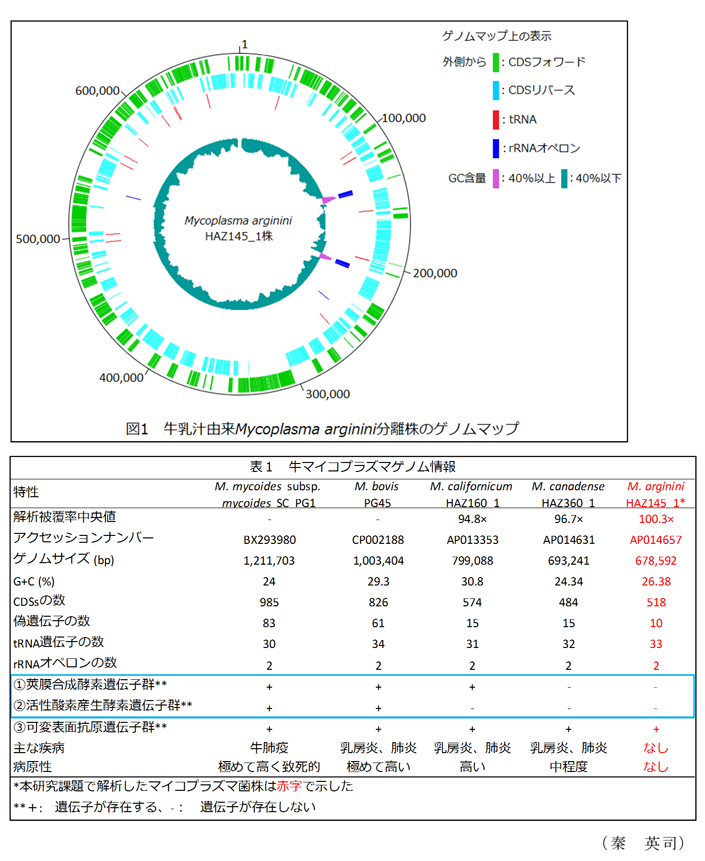 図1