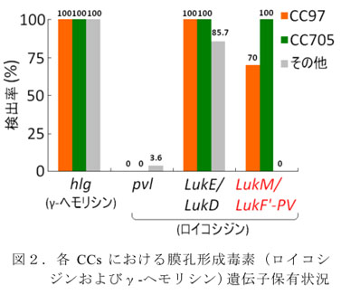 図2.各CCsにおける膜孔形成毒素(ロイコシジンおよびγ-ヘモリシン)遺伝子保有状況