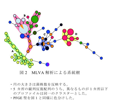 図2 MLVA解析による系統樹