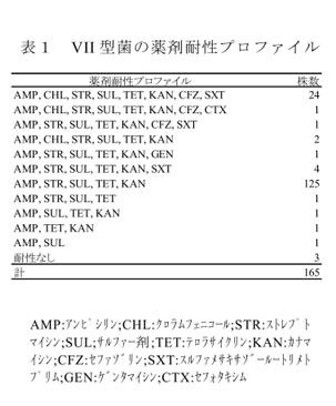 表1 VII型菌の薬剤耐性プロファイル