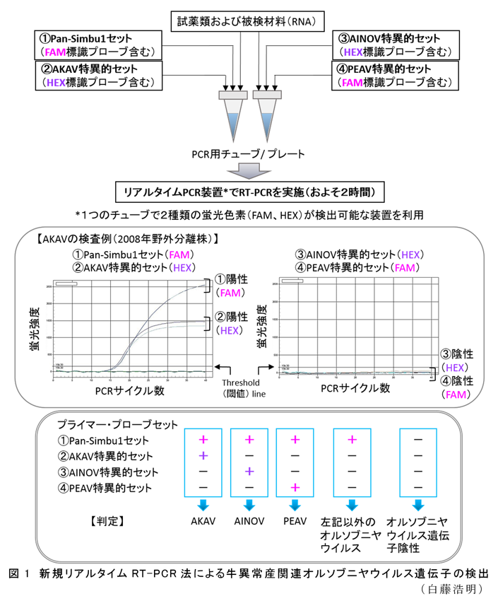 図1