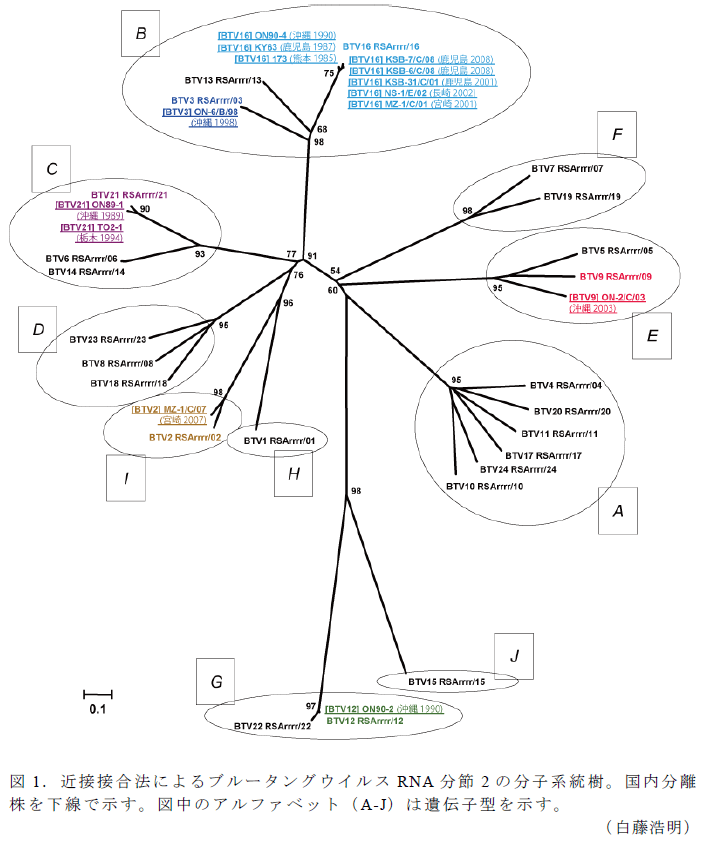 図1