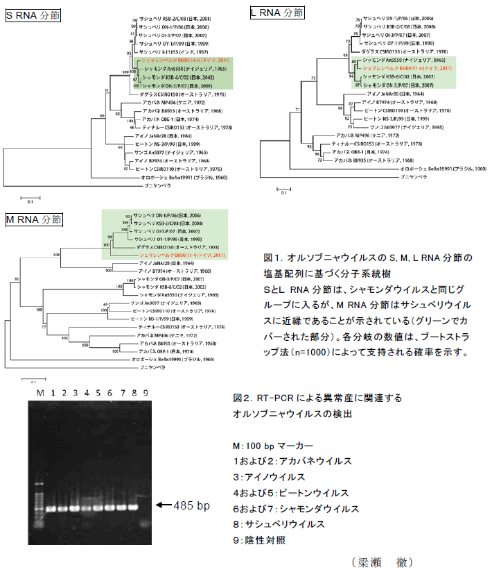 図1～2