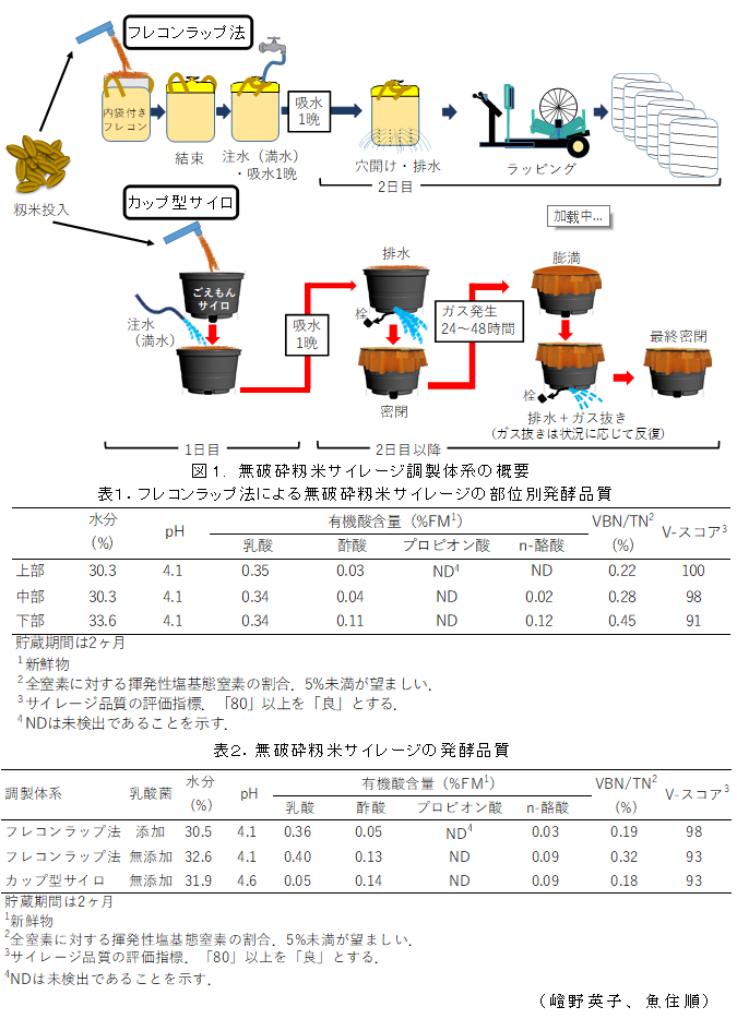 図1. 無破砕籾米サイレージ調製体系の概要;表1.フレコンラップ法による無破砕籾米サイレージの部位別発酵品質;表2.無破砕籾米サイレージの発酵品質