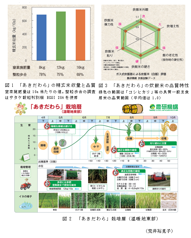 図1 「あきだわら」の精玄米収量と品質;図2 「あきだわら」栽培暦(温暖地東部);図3 「あきだわら」の炊飯米の品質特性