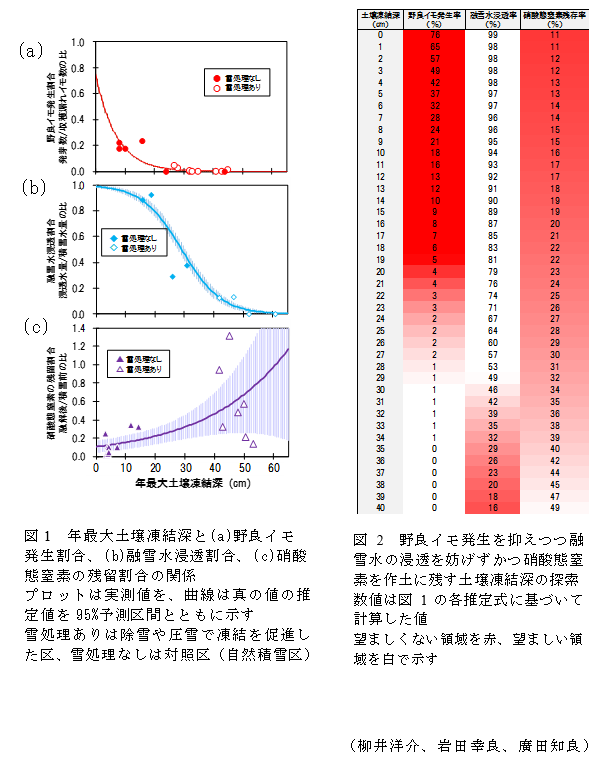 図1 年最大土壌凍結深と(a)野良イモ発生割合、(b)融雪水浸透割合、(c)硝酸 態窒素の残留割合の関係