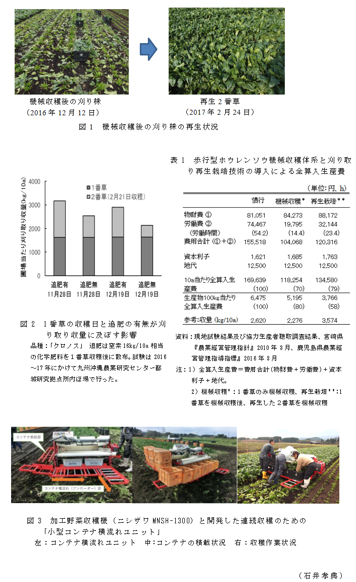図1 機械収穫後の刈り株の再生状況;図2 1番草の収穫日と追肥の有無が刈り取り収量に及ぼす影響;表1  歩行型ホウレンソウ機械収穫体系と刈り取り再生栽培技術の導入による全算入生産費;図3 加工野菜収穫機(ニシザワMNSH-1300)と開発した連続収穫のための
「小型コンテナ横流れユニット」