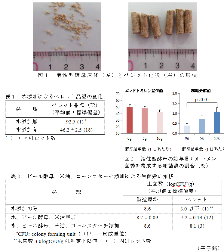 図1 活性型酵母原体(左)とペレット化後(右)の形状;表1 水添加によるペレット品温の変化;図2 活性型酵母の給与量とルーメン菌叢を構成する細菌群の割合(%);表2 ビール酵母、米油、コーンスターチ添加による生菌数の推移