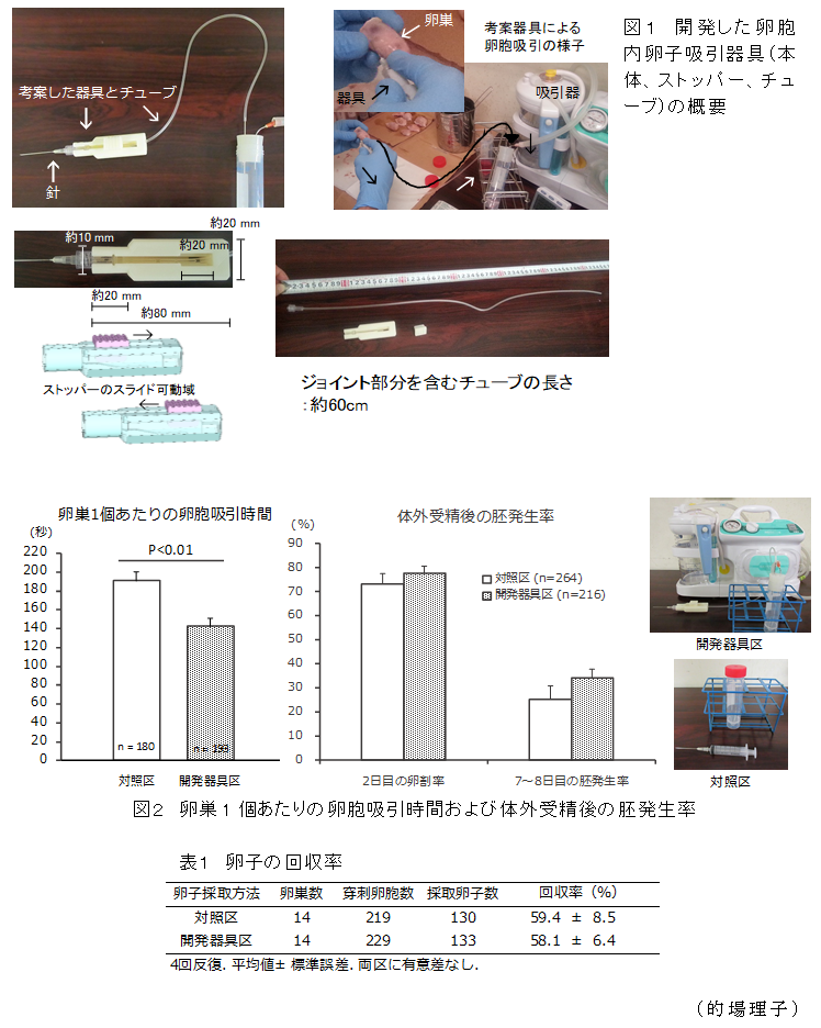 図1 開発した卵胞内卵子吸引器具(本体、ストッパー、チューブ)の概要;図2 卵巣1個あたりの卵胞吸引時間および体外受精後の胚発生率;表1 卵子の回収率