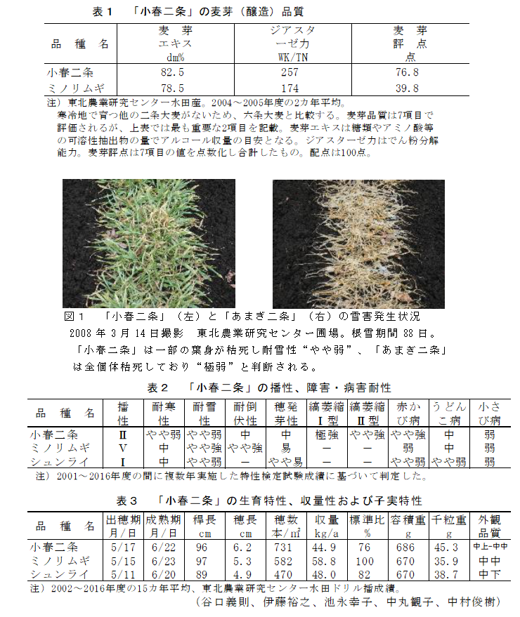 図1 「小春二条」(左)と「あまぎ二条」(右)の雪害発生状況