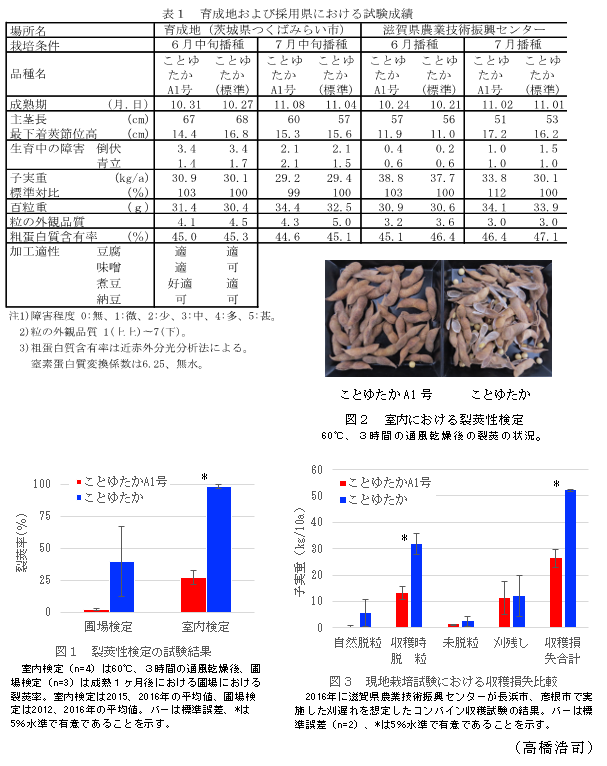 表1 育成地および採用県における試験成績;図1 裂莢性検定の試験結果;図2 室内における裂莢性検定;図3 現地栽培試験における収穫損失比較