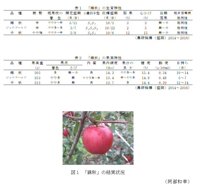 図1 「錦秋」の結実状況