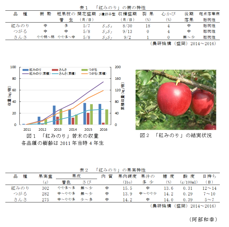 図1 「紅みのり」若木の収量各品種の樹齢は2011年当時4年生;図2 「紅みのり」の結実状況