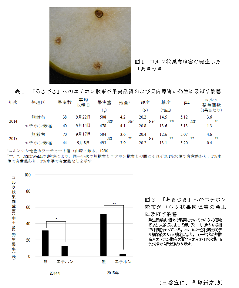 図1 コルク状果肉障害の発生した「あきづき」;表1 「あきづき」へのエテホン散布が果実品質および果肉障害の発生に及ぼす影響;図2 「あきづき」へのエテホン散布がコルク状果肉障害の発生に及ぼす影響