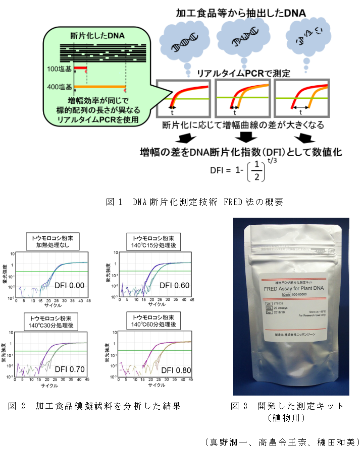 図1 DNA断片化測定技術 FRED法の概要;図2 加工食品模擬試料を分析した結果;図3 開発した測定キット