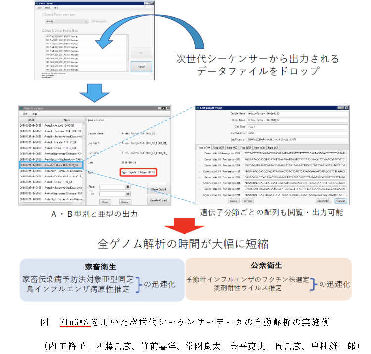 図 FluGASを用いた次世代シーケンサーデータの自動解析の実施例