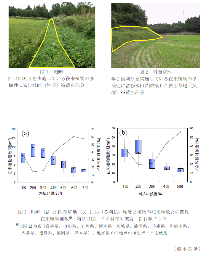 図1 畦畔;図2 斜面草地;図3 畦畔(a)と斜面草地(b)における刈払い頻度と植物の在来種数との関係