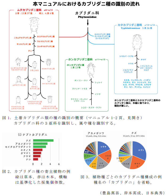 図1.土着カブリダニ類の種の識別の概要;図2.カブリダニ種の寄主植物の例;図3.植物種ごとのカブリダニ種構成の例