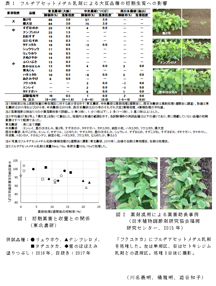 表1 フルチアセットメチル乳剤による大豆品種の初期生育への影響;図1 初期薬害と収量との関係;図2 薬剤混用による薬害助長事例