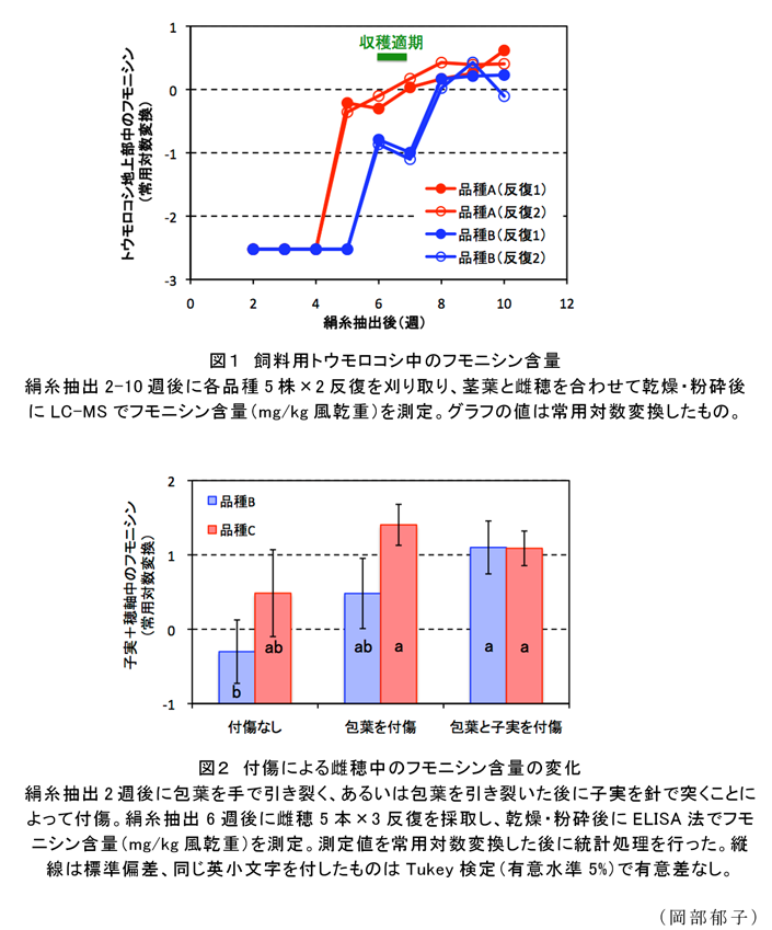 図1