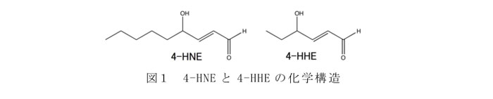 図1 4-HNEと4-HHEの化学構造