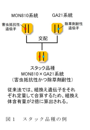 図1 スタック品種の例